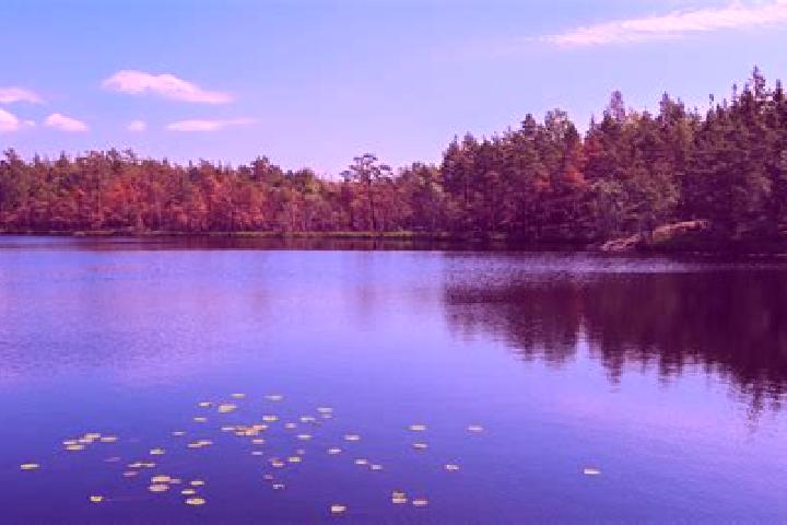 escort Lake Barrington