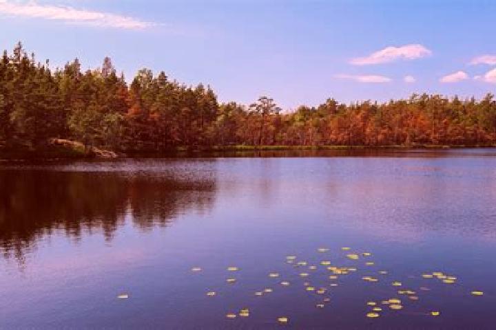 escort Lake Bosworth
