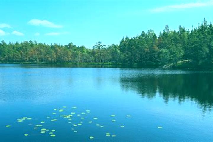 escort Lake Butler