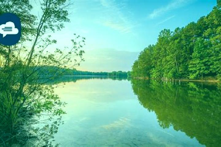escort Lake Charlotte