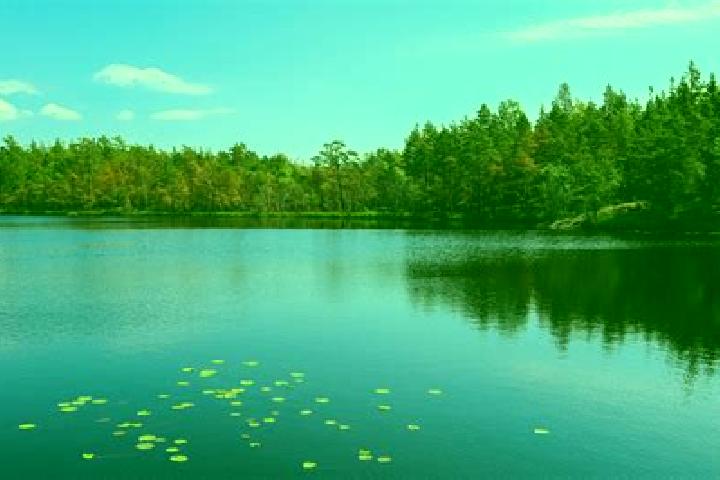 escort Lake Dalecarlia
