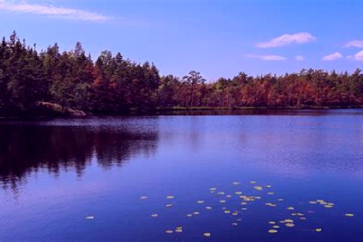 escort Lake Delton