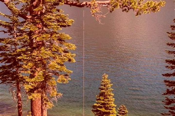 escort Lake Echo