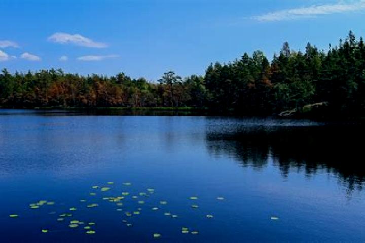 escort Lake Evesham