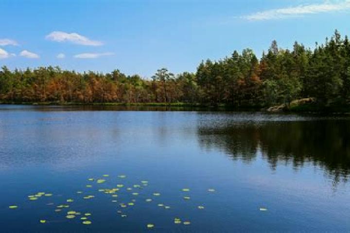 escort Lake Hallie