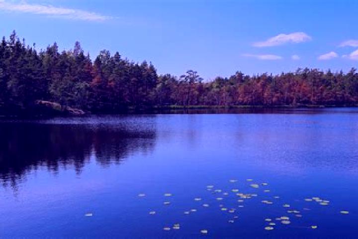 escort Lake Hart