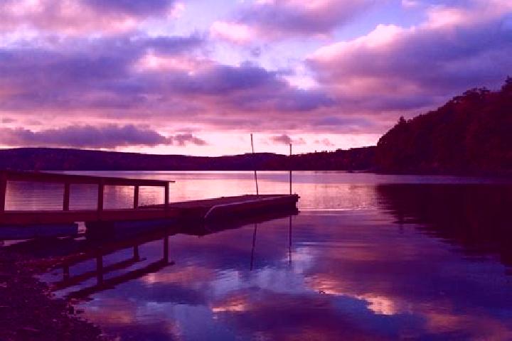 escort Lake Haven