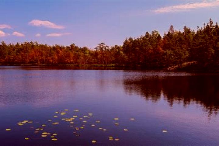 escort Lake Hiawatha