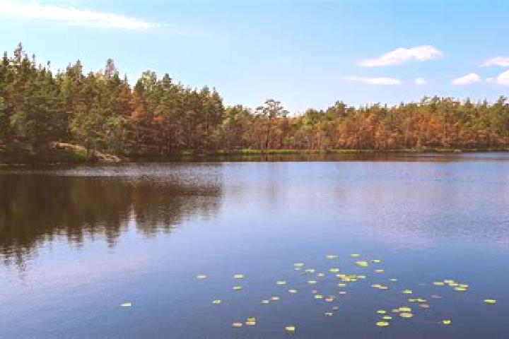 escort Lake Katrine