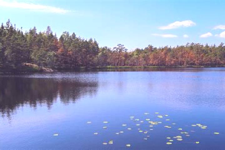 escort Lake Linden