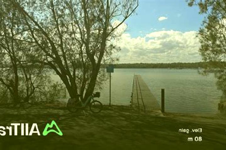 escort Lake Munmorah