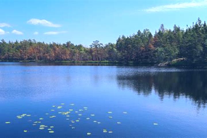 escort Lake Odessa