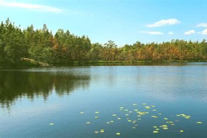 escort Lake Panorama