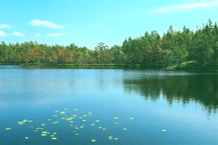 escort Lake Providence