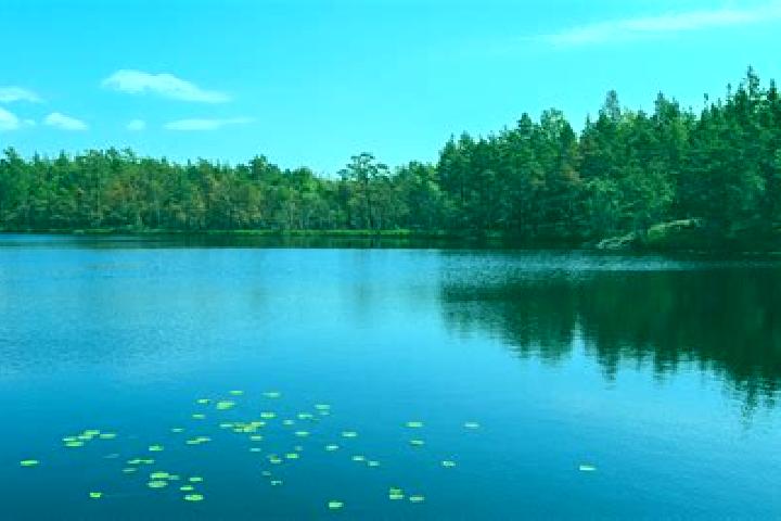 escort Lake Station