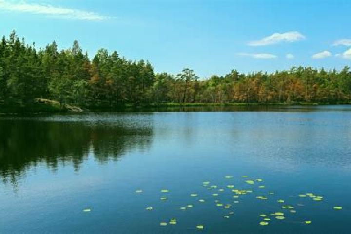 escort Lake Success