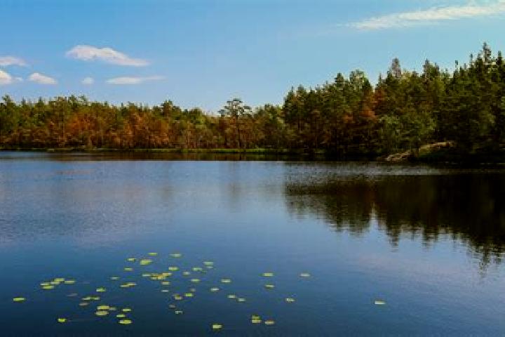 escort Lake Tanglewood