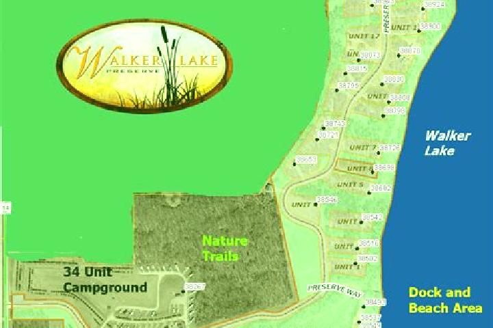 escort Lake Walker