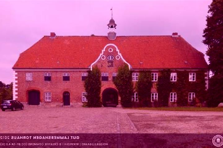 escort Lammershagen