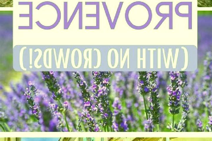escort Lancon-Provence