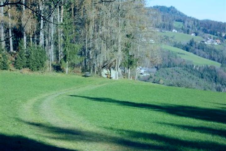 escort Landscha bei Weiz