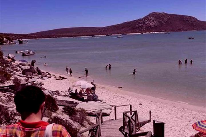 escort Langebaan