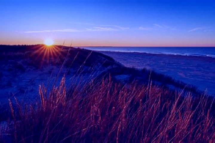 escort Langeoog