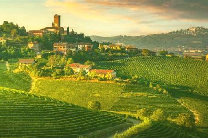 escort Langhe
