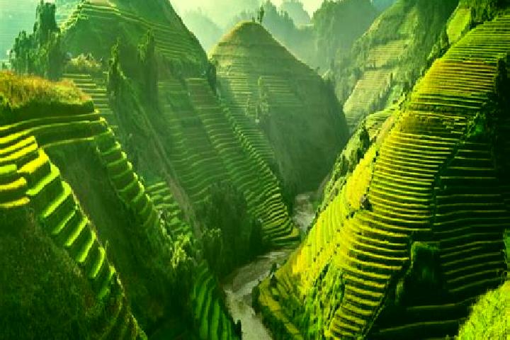 escort Lao Cai