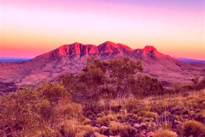 escort Larapinta