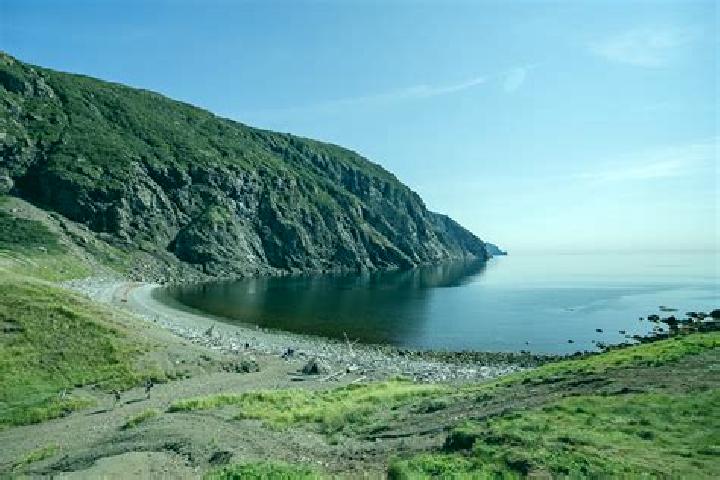 escort Lark Harbour