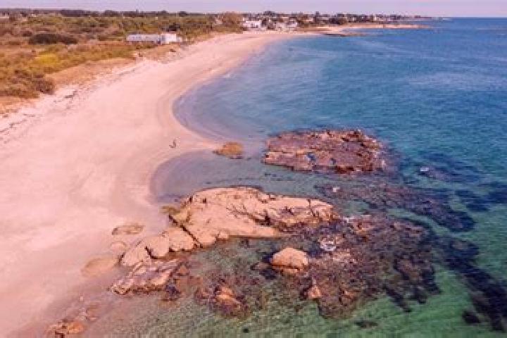 escort Larmor-Plage