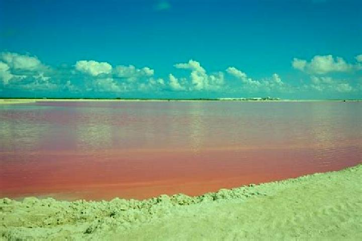 escort Las Coloradas