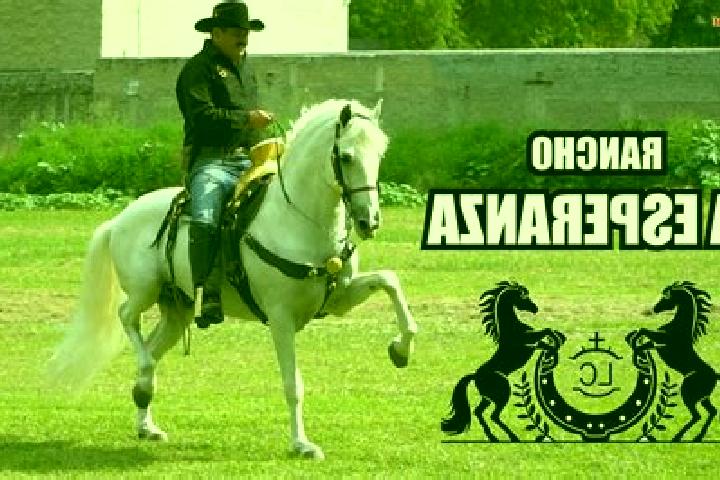 escort Las Esperanzas (El Ranchito)