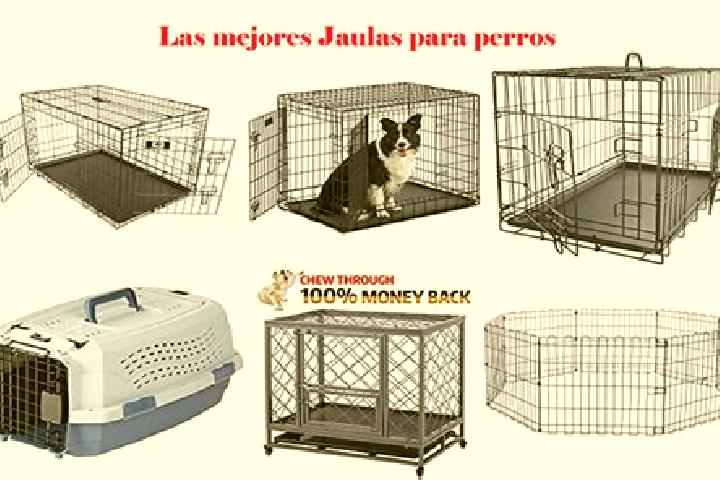 escort Las Jaulas