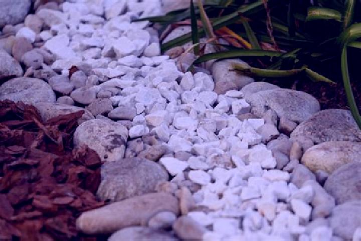 escort Las Piedritas