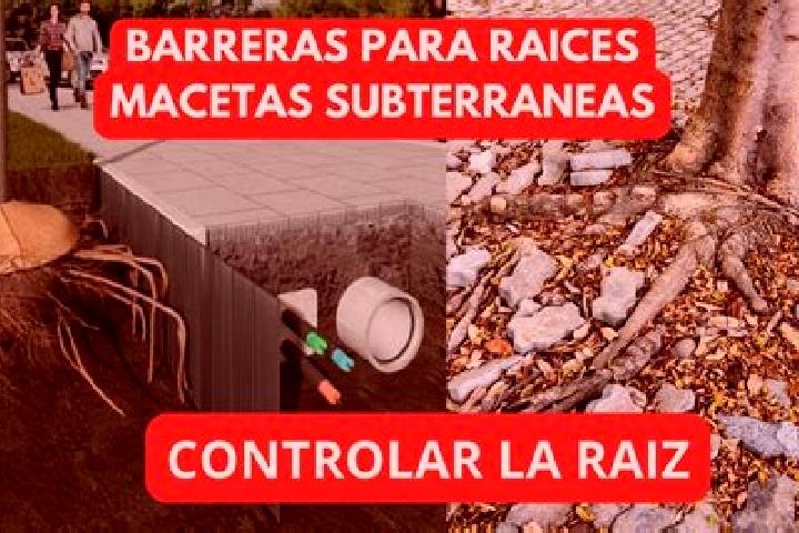 escort Las Raices