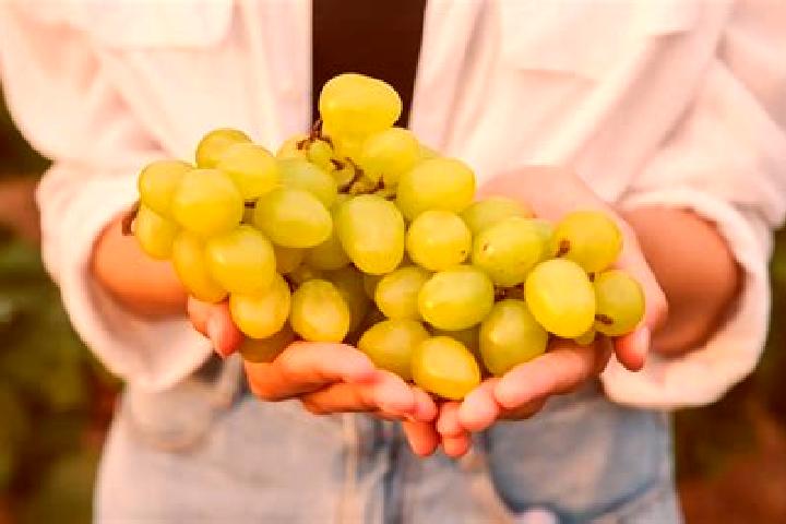 escort Las Uvas