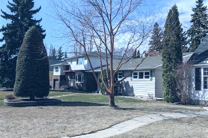 escort Laurier Heights