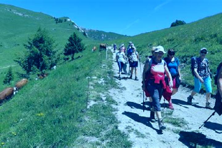 escort Le Chambon