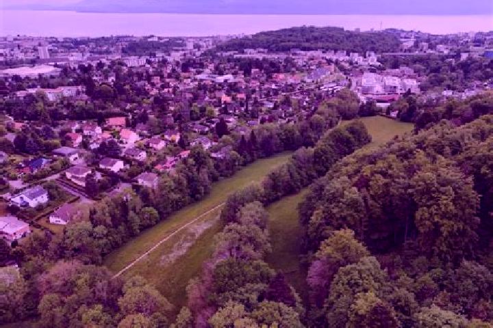 escort Le Mont-sur-Lausanne