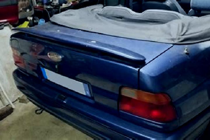 escort Le Piol
