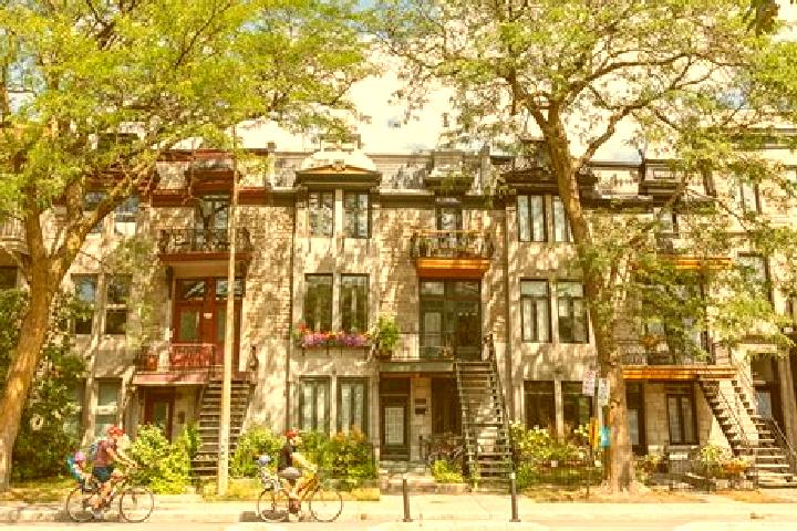 escort Le Plateau-Mont-Royal