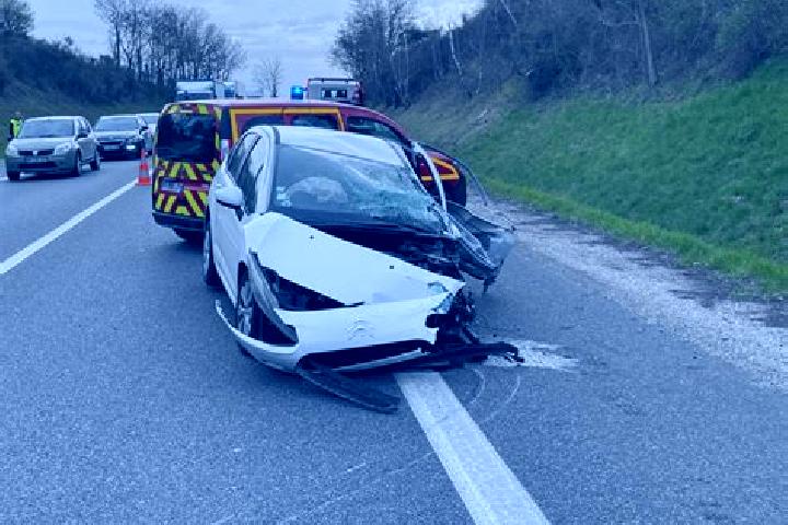 escort Le Puiset-Dore