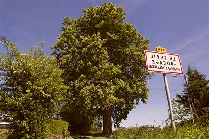 escort Le Theil-Bocage
