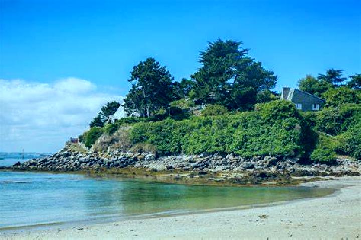 escort Le Theil-de-Bretagne
