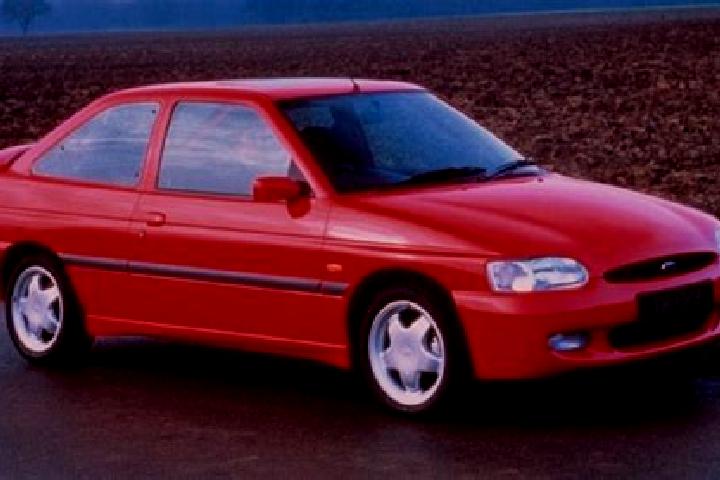 escort Lebork