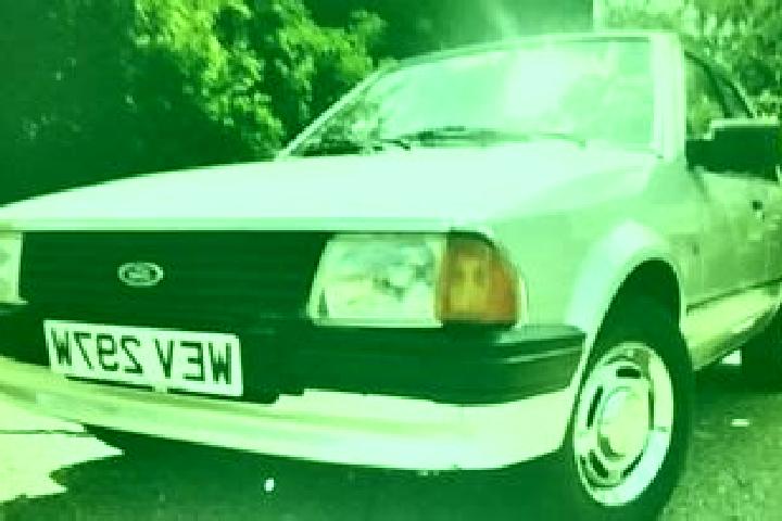 escort Ledi