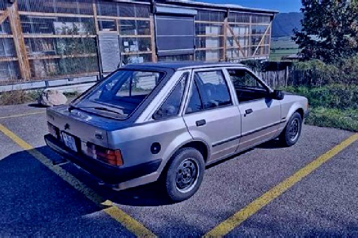 escort Leitao Grande