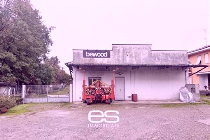 escort Lentate sul Seveso